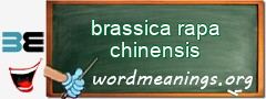 WordMeaning blackboard for brassica rapa chinensis